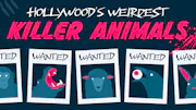 An array of Wanted posters, each featuring a different animal