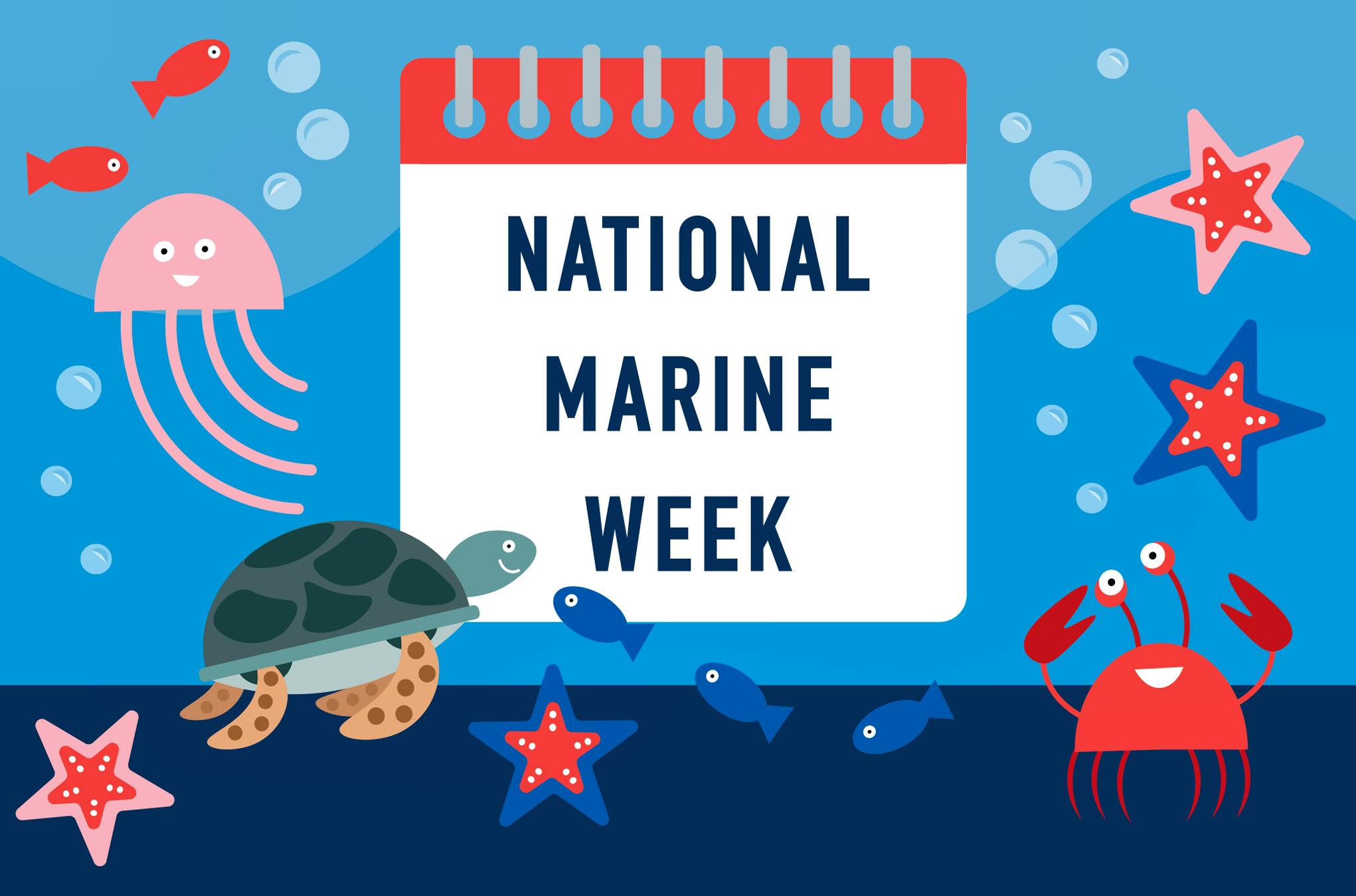 National Marine Week: The Best Ocean-Based Movies