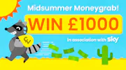 The text ‘Midsummer Moneygrab! £1000 prize draw, in association with Sky’, alongside a grinning raccoon making off with a sack of cash.